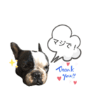 ブヒ男、dice君。（個別スタンプ：7）