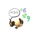 ブヒ男、dice君。（個別スタンプ：14）