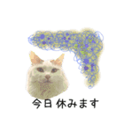 猫のかりん【娘が使う用のやつ】（個別スタンプ：13）