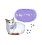 猫のかりん【娘が使う用のやつ】（個別スタンプ：15）