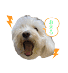 マルプー♡ちくわ（個別スタンプ：9）