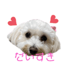 マルプー♡ちくわ（個別スタンプ：14）