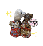 マルプー♡ちくわ（個別スタンプ：17）