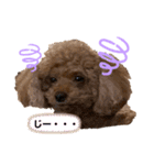 PURIN ♪♪（個別スタンプ：5）