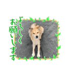 ウキウキもん太（個別スタンプ：2）