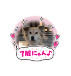ウキウキもん太（個別スタンプ：3）