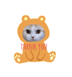 もなかねこスタンプ♡スコティッシュ（個別スタンプ：1）