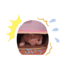 もなかねこスタンプ♡スコティッシュ（個別スタンプ：7）