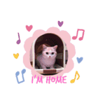 もなかねこスタンプ♡スコティッシュ（個別スタンプ：13）