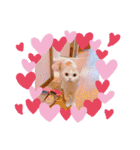 もなかねこスタンプ♡スコティッシュ（個別スタンプ：15）