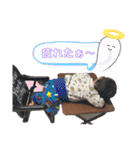 陸人有璃親分（個別スタンプ：22）