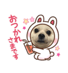 陸人有璃親分（個別スタンプ：29）
