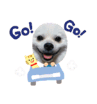 陸人有璃親分（個別スタンプ：30）