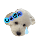 丸男くんスタンプ2（個別スタンプ：2）