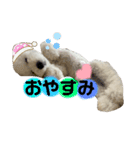 丸男くんスタンプ2（個別スタンプ：4）