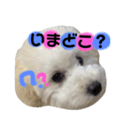 丸男くんスタンプ2（個別スタンプ：8）
