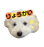 丸男くんスタンプ2（個別スタンプ：10）