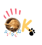 元保護猫のぬぅとじゃじゃ丸（個別スタンプ：3）