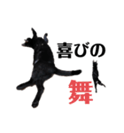 元保護猫のぬぅとじゃじゃ丸（個別スタンプ：22）