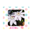 モコメモリー（個別スタンプ：2）