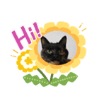 モコメモリー（個別スタンプ：9）