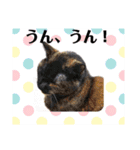 モコメモリー（個別スタンプ：14）