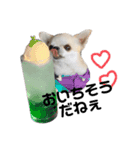 こまちゃすたんぷ（個別スタンプ：2）