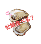 なんで？シリーズ1（個別スタンプ：4）