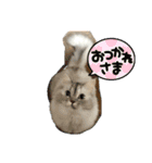 むさこじのスタンプ1（個別スタンプ：2）
