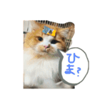 むさこじのスタンプ1（個別スタンプ：6）