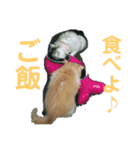 むさこじのスタンプ1（個別スタンプ：7）