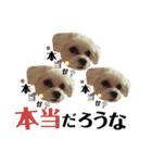 めるまろと 顔面編（個別スタンプ：8）