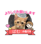 うちのぱむ（個別スタンプ：5）