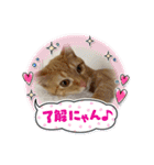 うちのぱむ（個別スタンプ：11）