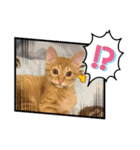 うちのぱむ（個別スタンプ：13）