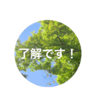 花や木のスタンプ（個別スタンプ：1）