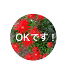 花や木のスタンプ（個別スタンプ：2）