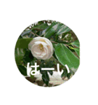 花や木のスタンプ（個別スタンプ：3）