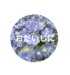 花や木のスタンプ（個別スタンプ：5）