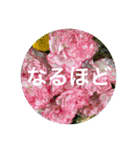花や木のスタンプ（個別スタンプ：13）