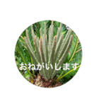 花や木のスタンプ（個別スタンプ：19）