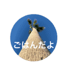 花や木のスタンプ（個別スタンプ：20）