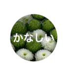 花や木のスタンプ（個別スタンプ：22）