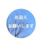 花や木のスタンプ（個別スタンプ：24）