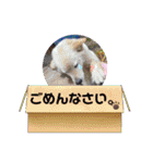 動画・デコトラ（個別スタンプ：3）