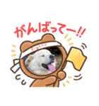 動画・デコトラ（個別スタンプ：6）