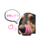 稲田チョッパースタンプ（個別スタンプ：2）