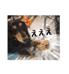 稲田チョッパースタンプ（個別スタンプ：4）