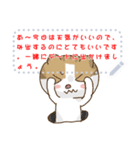 isBrian Cat No.7-JP（個別スタンプ：11）