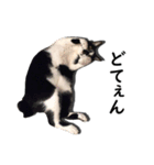 とぅんのとと（個別スタンプ：1）